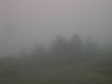 19 : 21