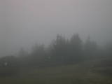 20 : 21