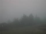 20 : 31