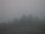 20 : 33