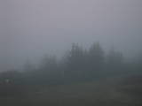 20 : 38