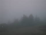 20 : 41