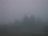 20 : 49