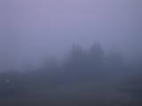 21 : 13