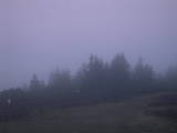 21 : 17
