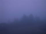 21 : 21