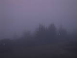 21 : 25
