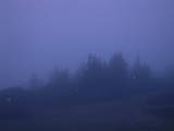 04 : 29