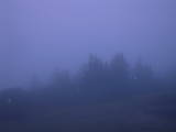 04 : 33
