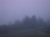 04 : 41