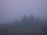 04 : 49