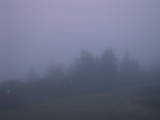 04 : 53