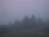 05 : 29