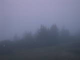 05 : 49