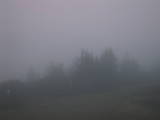 06 : 01