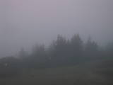 06 : 05