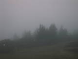 06 : 09