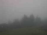 06 : 41