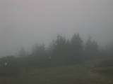 06 : 49