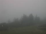 07 : 03