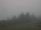 07 : 05