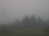 07 : 13