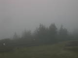 07 : 17