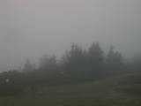 07 : 19