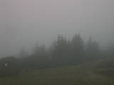 07 : 29