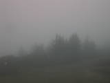 07 : 33