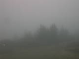 07 : 37