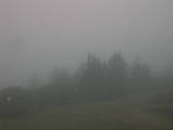 07 : 39