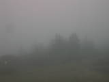 08 : 09