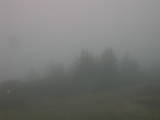 08 : 13