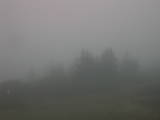 08 : 15