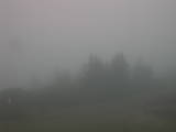 08 : 17