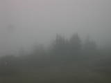 08 : 29