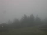 08 : 31