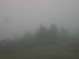 08 : 37