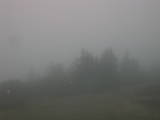 08 : 39