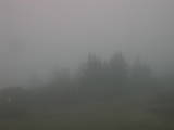 08 : 41