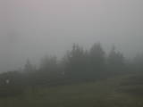 09 : 09