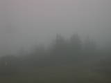 09 : 19