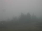 09 : 41