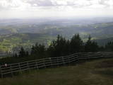 15 : 49