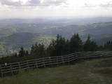 16 : 33