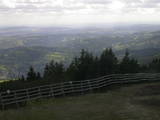 16 : 49
