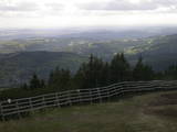 17 : 29