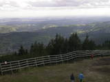 17 : 33
