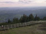 19 : 37